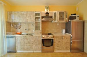 Kuchyň nebo kuchyňský kout v ubytování Apartments Tojčić