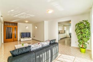 Μια τηλεόραση ή/και κέντρο ψυχαγωγίας στο Apartments Ori