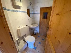 La salle de bains est pourvue de toilettes et d'un lavabo. dans l'établissement Ferienhaus Jüngling, à Wimbach