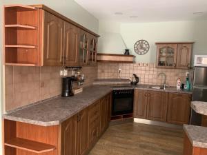 Kuchyň nebo kuchyňský kout v ubytování Apartmán Jáchymov