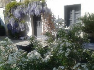 a garden with wisterias and flowers in front of a building at Chambres d'hôtes Rue du Poids in Bourgueil