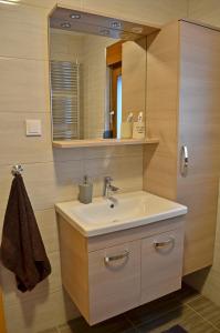 un bagno con lavandino e specchio di Ozalj , Karlovačka Županija ,Cijela kuća za odmor Lucija a Ozalj