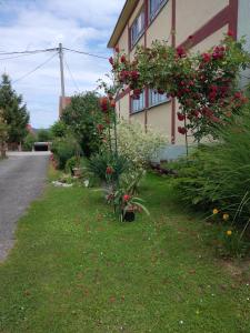 una casa con flores a un lado. en Apartment Tomašević, en Slunj