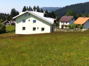 a white house in a field of green grass at Apartments Baba Luce in Strica