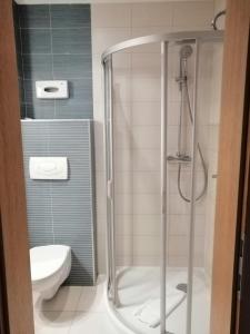 a bathroom with a shower and a toilet at Apartman 205 Aparthotel Vučko in Jahorina