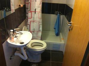a small bathroom with a toilet and a sink at Apartments Baba Luce in Strica +21 photos