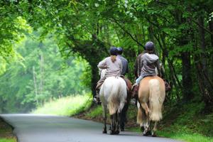 three people riding on horses down a road at Studio charmant à La Ferrière-aux-Étangs, 27 m², avec Spa in La Ferrière-aux-Étangs +16 photos