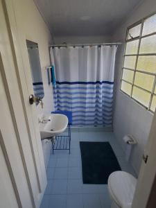 a bathroom with a sink and a toilet and a shower at El Piropo in La Vega
