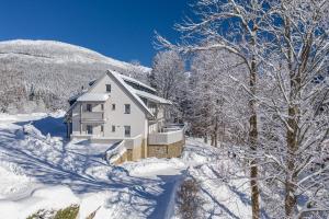 Pension Valon v zime
