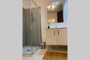 uma casa de banho com um chuveiro, um lavatório e um espelho. em Deux pieces Moderne et Chaleureux em Saint-Laurent-du-Var