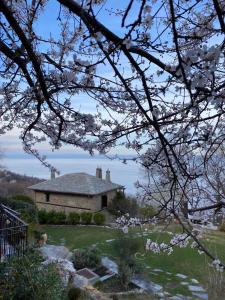 une maison avec un arbre à fleurs devant elle dans l'établissement Hotel Maistra, à Tsagkarada