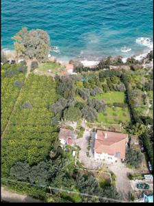 an aerial view of a house next to the ocean at Villa Eirini with sea view in Dhriópi