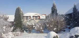 a house with snow covered trees in a yard at Białowolskie Wzgórze in Zamość