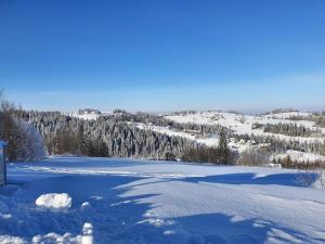 Glamping Pasieka Namiot Glamp Bukowina Tatrzańska - domki w górach v zimě