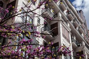 a building with purple flowers in front of it at BUBUFLATS Ayuntamiento in Valencia