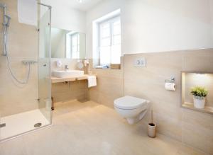 a bathroom with a toilet and a shower and a sink at Belle Maison - Das kleine Hotel in Werbach