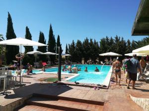 The swimming pool at or near Masseria Sant'Agapito