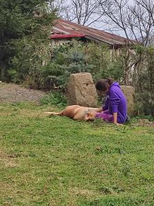 Eine Frau streichelt einen Hund im Gras in der Unterkunft Ekolojik Güney Köy Pembe Köşk in Balçıklı