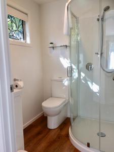 a bathroom with a toilet and a glass shower at Art Glass Studio in Wanaka