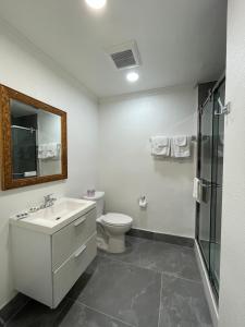 ein Bad mit einem WC, einem Waschbecken und einer Dusche in der Unterkunft Ritz Inn-San Francisco Airport SFO in San Bruno