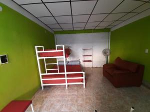 Habitación con paredes verdes, sofá y literas. en Hostel Richieri en Neuquén