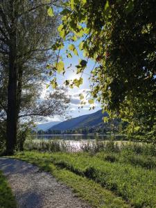 a path next to a lake with a tree at MARGHERITA'S Guest House in Tarzo