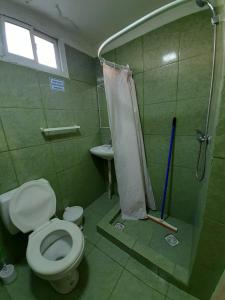 a green bathroom with a toilet and a shower at Hostel Richieri in Neuquén