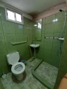 a bathroom with a toilet and a sink at Hostel Richieri in Neuquén