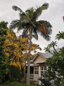 Taman di luar Arcadia House +20 gambar