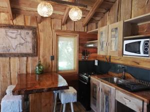 a kitchen with wooden walls and a stove and a sink at Cabañas Rústicas Pucón Río Trancura in Pucón