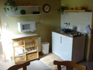 a small kitchen with a stove and a microwave at Elegant in Gross Kordshagen amidst lush greenery with garden in Groß Kordshagen
