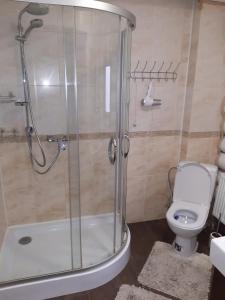 ボロフタにあるGuest House Dikiy Zrubのバスルーム(シャワー、トイレ付)