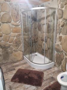 La salle de bains est pourvue d'une douche et d'un mur en pierre. dans l'établissement Guest House Dikiy Zrub, à Vorokhta