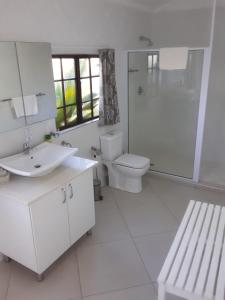 a bathroom with a sink and a toilet and a shower at St Lucia Eco Lodge in St Lucia