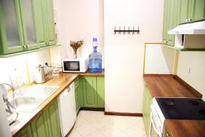 a kitchen with green cabinets and a sink and a microwave at Kashtan guest house in Kyiv
