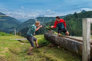 Gallery image of Hotel Garni Alpina in Damuls