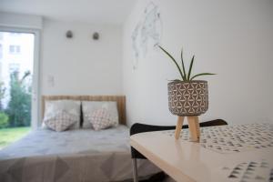 eine Topfpflanze auf einem Tisch in einem Schlafzimmer in der Unterkunft Au clos du bonheur in Saint-Sébastien-sur-Loire