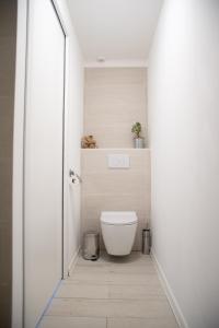 サン・セバスティアン・シュル・ロワールにあるAu clos du bonheurのバスルーム(白いトイレ付)が備わります。