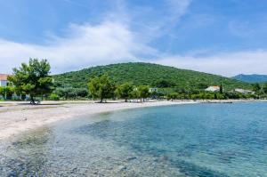 a beach with trees and a mountain in the background at Apartments Glavor in Drače