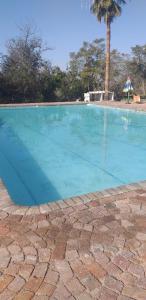 ネルスプロイトにあるVilla Jullienne - A Home Away From Home - Unit 5のヤシの木を背景にした青い大型スイミングプール +59枚の写真