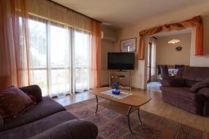 TV a/nebo společenská místnost v ubytování Apartments Nedeljka