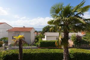 Zahrada ubytování Apartments Nedeljka