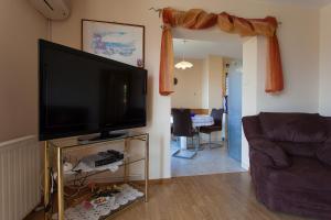 TV a/nebo společenská místnost v ubytování Apartments Nedeljka