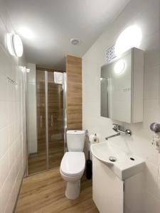 uma casa de banho com um WC, um lavatório e um chuveiro em MAGNEZJA em Karpacz