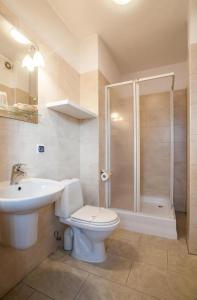 ein Bad mit einem WC, einem Waschbecken und einer Dusche in der Unterkunft Hotel Barka in Kalwaria Zebrzydowska