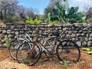 トッレ・ヴァードにあるNepole Home Holidayの石垣の横に駐輪した自転車2台