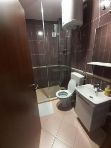 a bathroom with a toilet and a shower and a sink at Zlatibor Hills, Top 41 in Zlatibor
