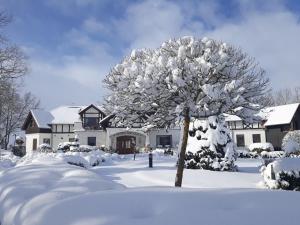 Hotel Dworek nad Regą v zimě
