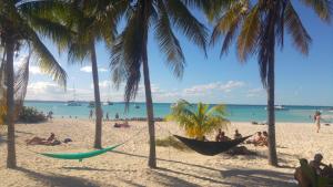 Mynd úr myndasafni af Itzé Hostel í Isla Mujeres