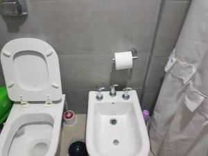 LAUQUEN في ترينكيو لايكيون: حمام صغير مع مرحاض ومغسلة